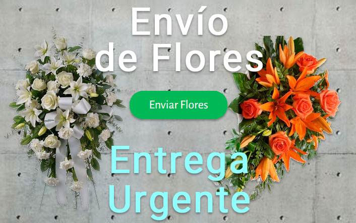 Envio flores difunto urgente a Tanatorio Alcorcón